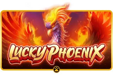 lucky7